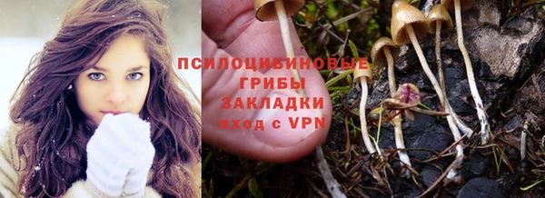 дурь Балахна