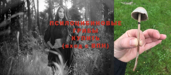 синтетический гашиш Баксан