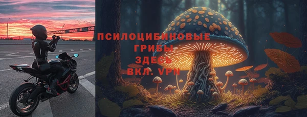 ECSTASY Балабаново